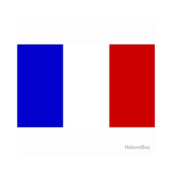 Drapeau France (101 Inc)