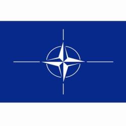 Drapeau OTAN (101 Inc)