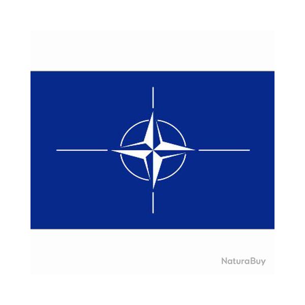 Drapeau OTAN (101 Inc)