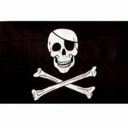 Drapeau Pirate Jolly Rogers (101 Inc)