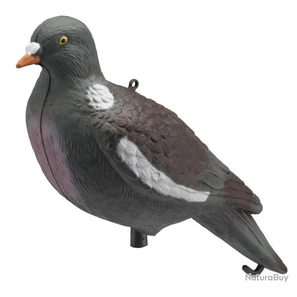 ( Appelant palombe)Appelant palombe