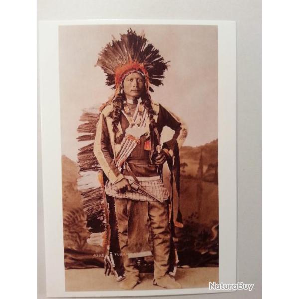 Carte postale Ute Chief Peah