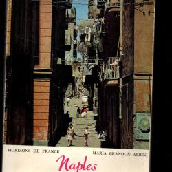 naples et son univers horizons de france de maria brandon albini , italie