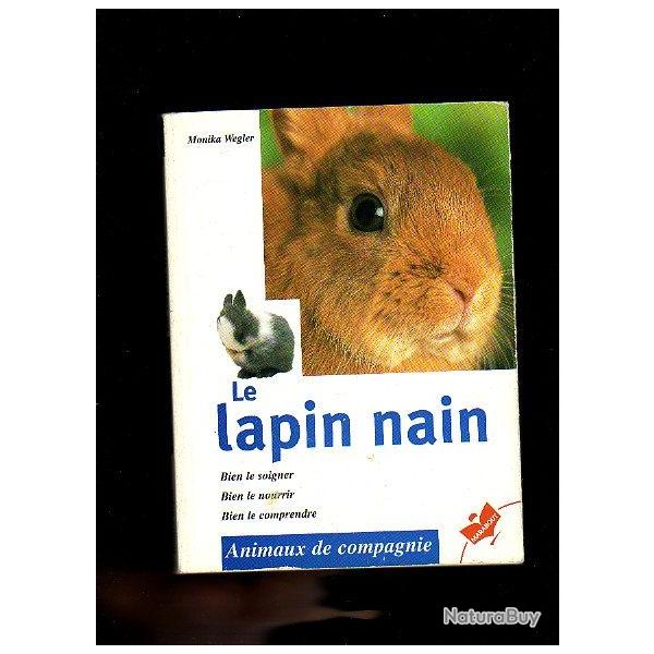 Le lapin nain + choisir �lever connaitre votre lapin nain