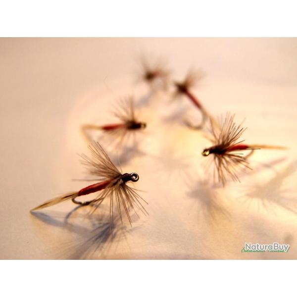 Lot 5 araign�es rouges - mouches s�ches