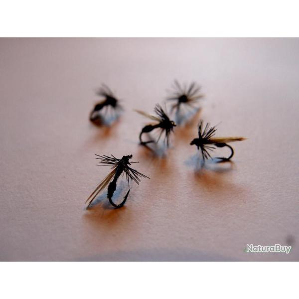Lot de 5 fourmis - mouches s�ches