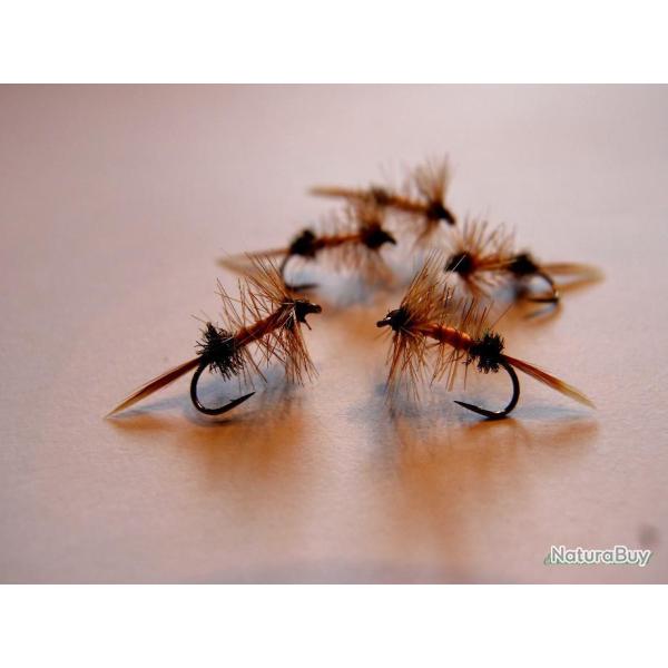 Lot de 5 Panama - mouches s�ches