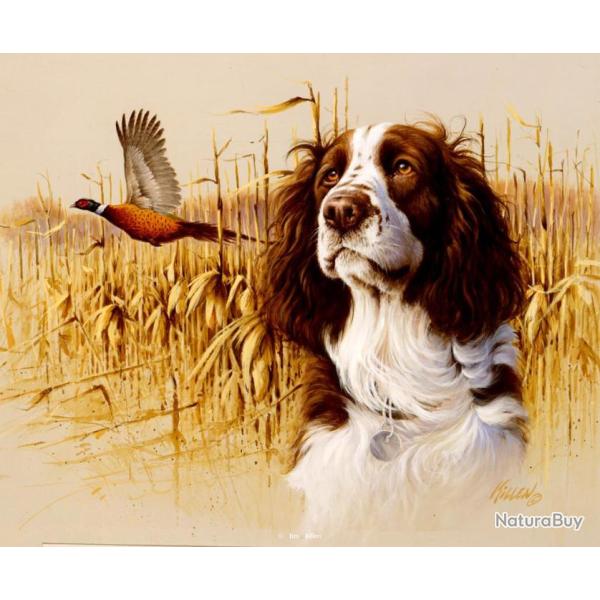 action de chasse petit gibier mercredi