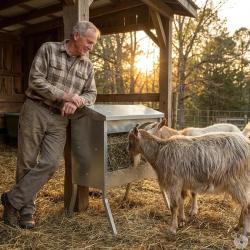 R&acirc;telier mangeoire d'ext&eacute;rieur pour mouton et ch&egrave;vre 1M