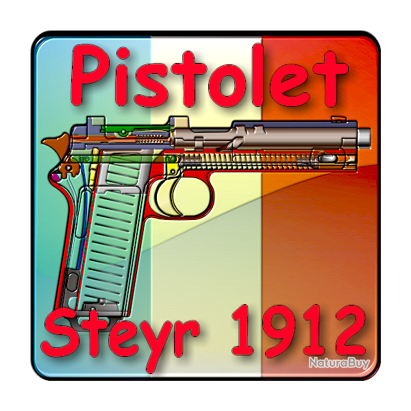 Le Pistolet Steyr 1912 Expliqu� - ebook