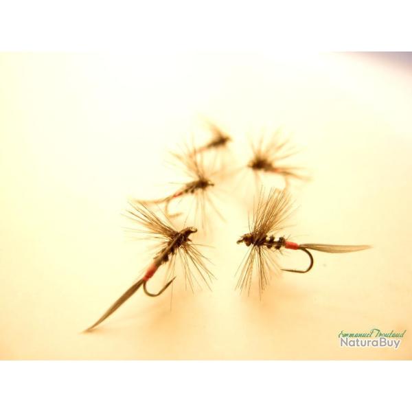 Lot de 5 araignes rouges et noires - Mouches sches