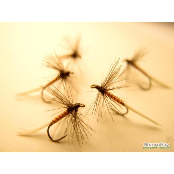 Lot de 5 araign�es grises � corps jaune - mouches s�ches