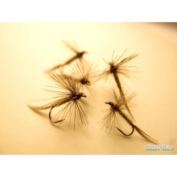 Lot de 5 araign�es olives - mouches s�ches