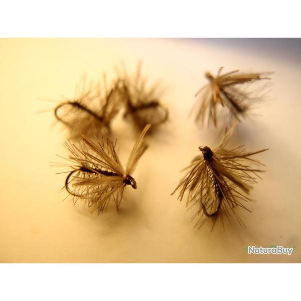 Lot de 5 assassines - mouches s�ches