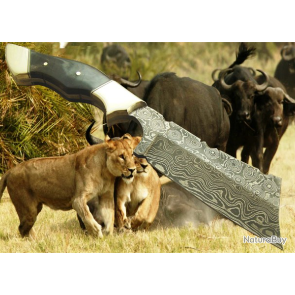 COLLECTION 2019 LAME  DAMAS CHASSE (  Manche corne de buffle - mitre laiton et soie)