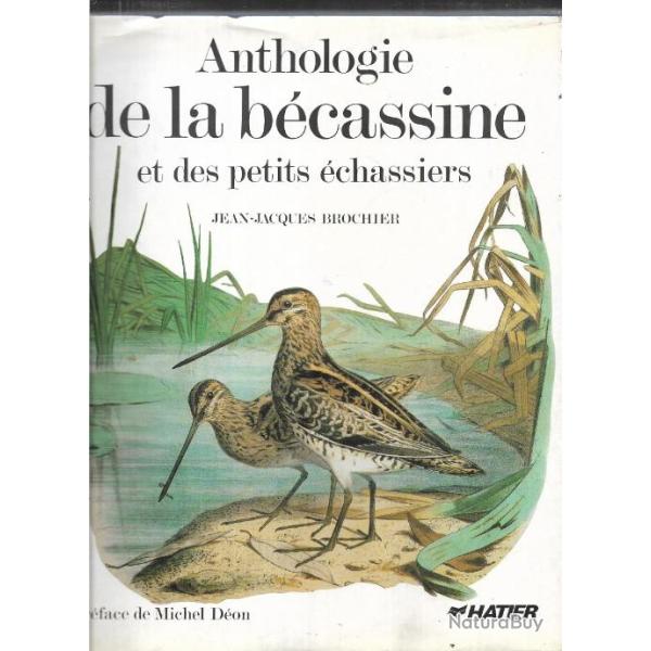 Les Cigognes Sont De Grands échassiers à Long Cou Et à Longues Pattes Longs Becs Robustes 36185417