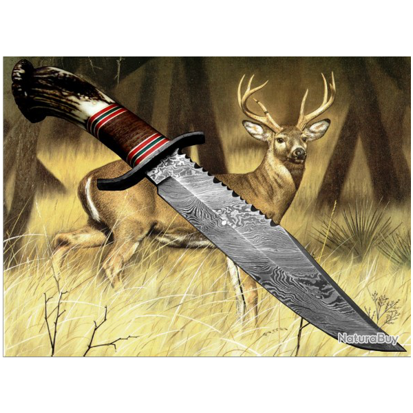 COLLECTION 2019 LAME  DAMAS CHASSE ( Manche bois de Cerf et noyer)