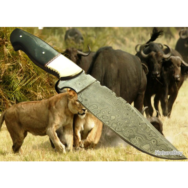 COLLECTION 2019 LAME  DAMAS CHASSE (Manche en corne de buffle et mitre laiton) (3)