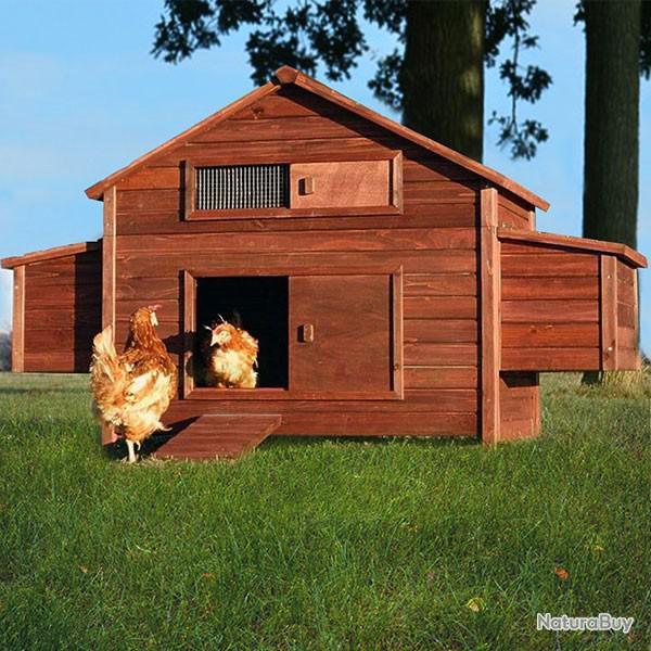 Poulailler 8 poules abri caille volaille GEANT NEUF poulailler XXL abri volaille cielterre-commerce