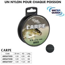 NYLON CARPE WATER QUEEN 0.40 mm