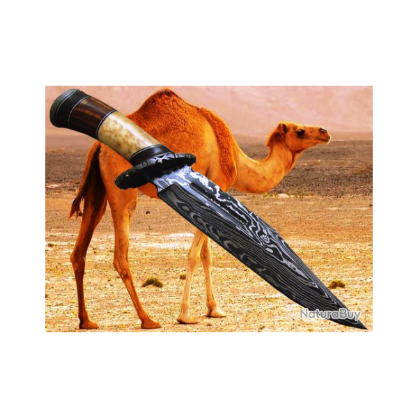 COLLECTION 2019 LAME  DAMAS CHASSE (  Manche en os de chameau et noyer)