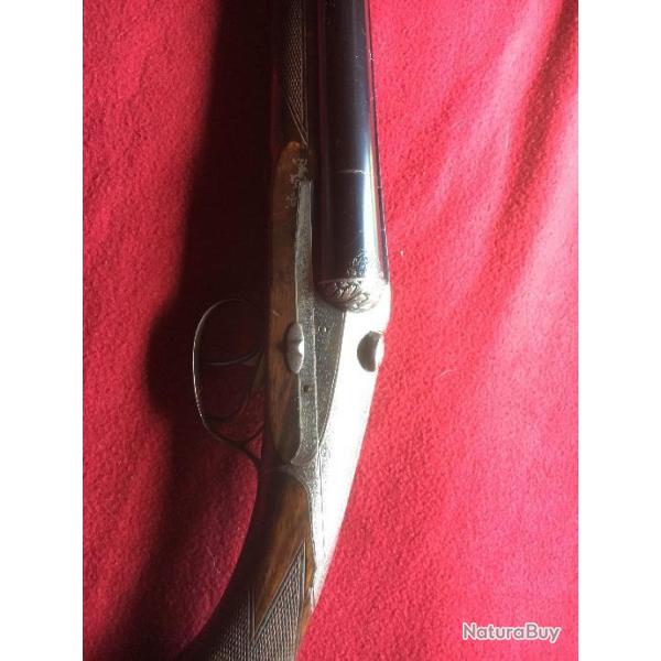 Darne V20 calibre 12