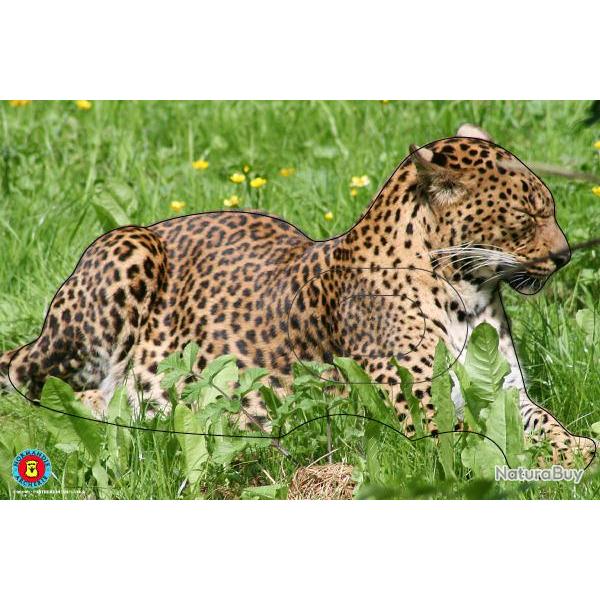 NORMANDIE ARCHERIE - PANTHERE DU SRI-LANKA