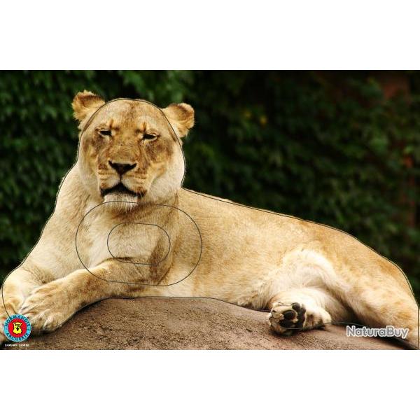 NORMANDIE ARCHERIE - LIONNE AU GUET