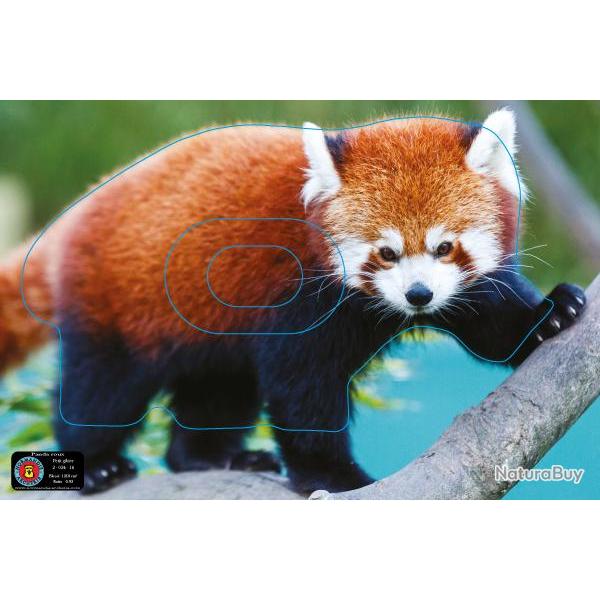 NORMANDIE ARCHERIE - PANDA ROUX