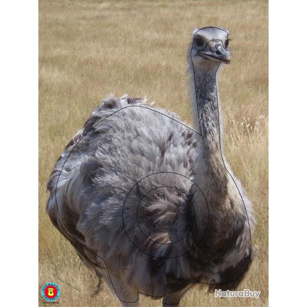 NORMANDIE ARCHERIE - AUTRUCHE