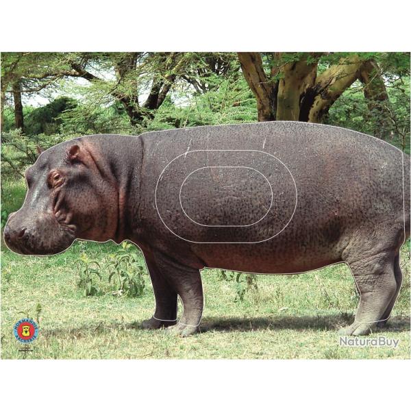 NORMANDIE ARCHERIE - HIPPOPOTAME
