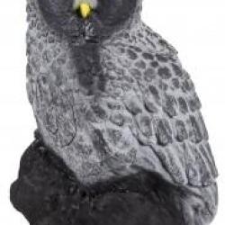 A.A. - CHOUETTE EFFRAIE