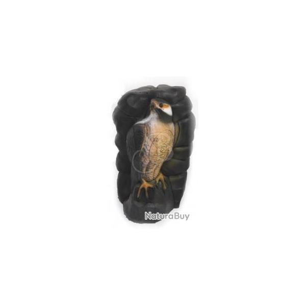 A.A. - FAUCON DANS ROCHER