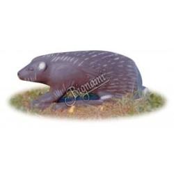 A.A. - H&Eacute;RISSON