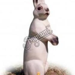 A.A. - LI&Egrave;VRE BLANC