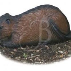 A.A. - RAGONDIN FONC&Eacute;