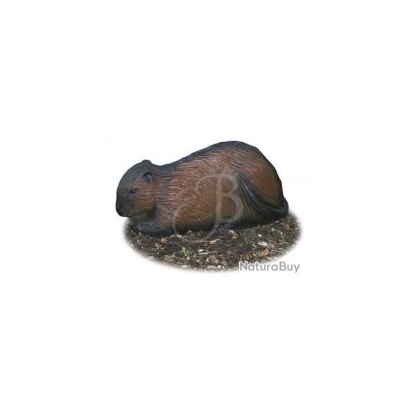 A.A. - RAGONDIN FONC�