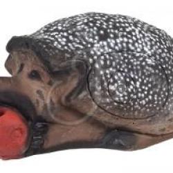 A.A. - H&Eacute;RISSON