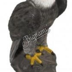 CENTER POINT - AIGLE