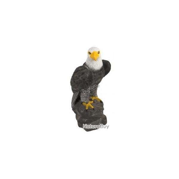 CENTER POINT - AIGLE