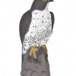 CENTER POINT - FAUCON