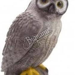 CENTER POINT - HIBOU