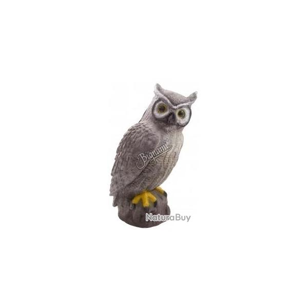 CENTER POINT - HIBOU