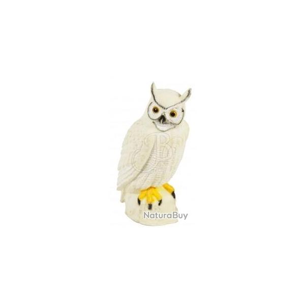 CENTER POINT - HIBOU POLAIRE