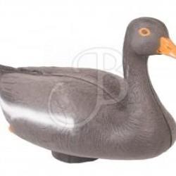 CENTER POINT - OIE GRISE