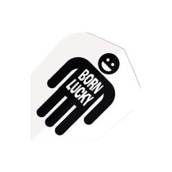 HARROWS - Ailettes QUADRO 2002