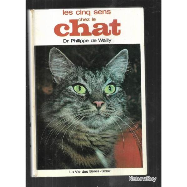 les cinq sens chez le chat dr philippe de wailly