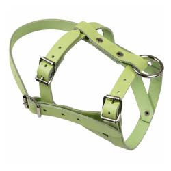 Licol pour mouton ou b&eacute;lier en cuir