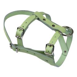 Licol pour mouton ou b&eacute;lier en cuir