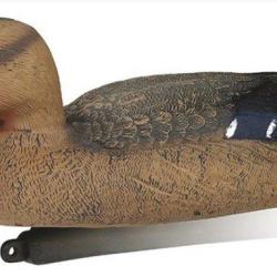 Appelant canard colvert femelle